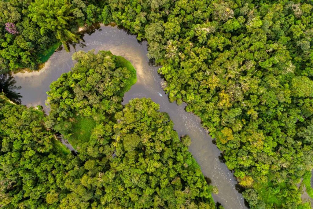 Amazon River - Canva - gustavofrazao Amazon | River