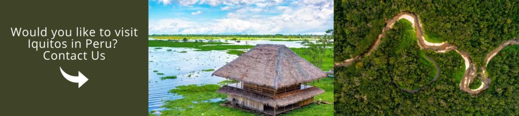 Contact our experts to plan your trip to Iquitos, Peru